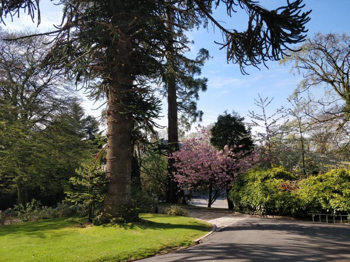 ホテル Banoge House Donaghcloney エクステリア 写真