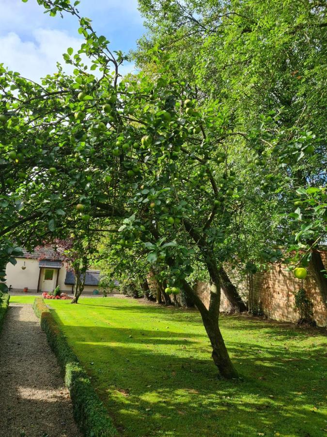 ホテル Banoge House Donaghcloney エクステリア 写真